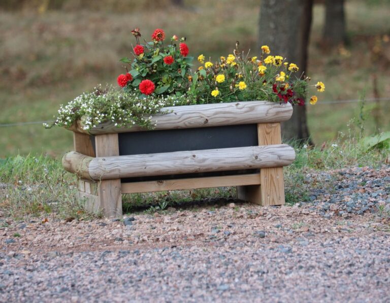 Heilkräuter aus dem Garten anbauen und nutzen