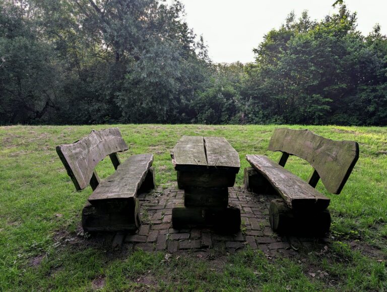 Heilkräuter für Libido und Vitalität aus dem Garten