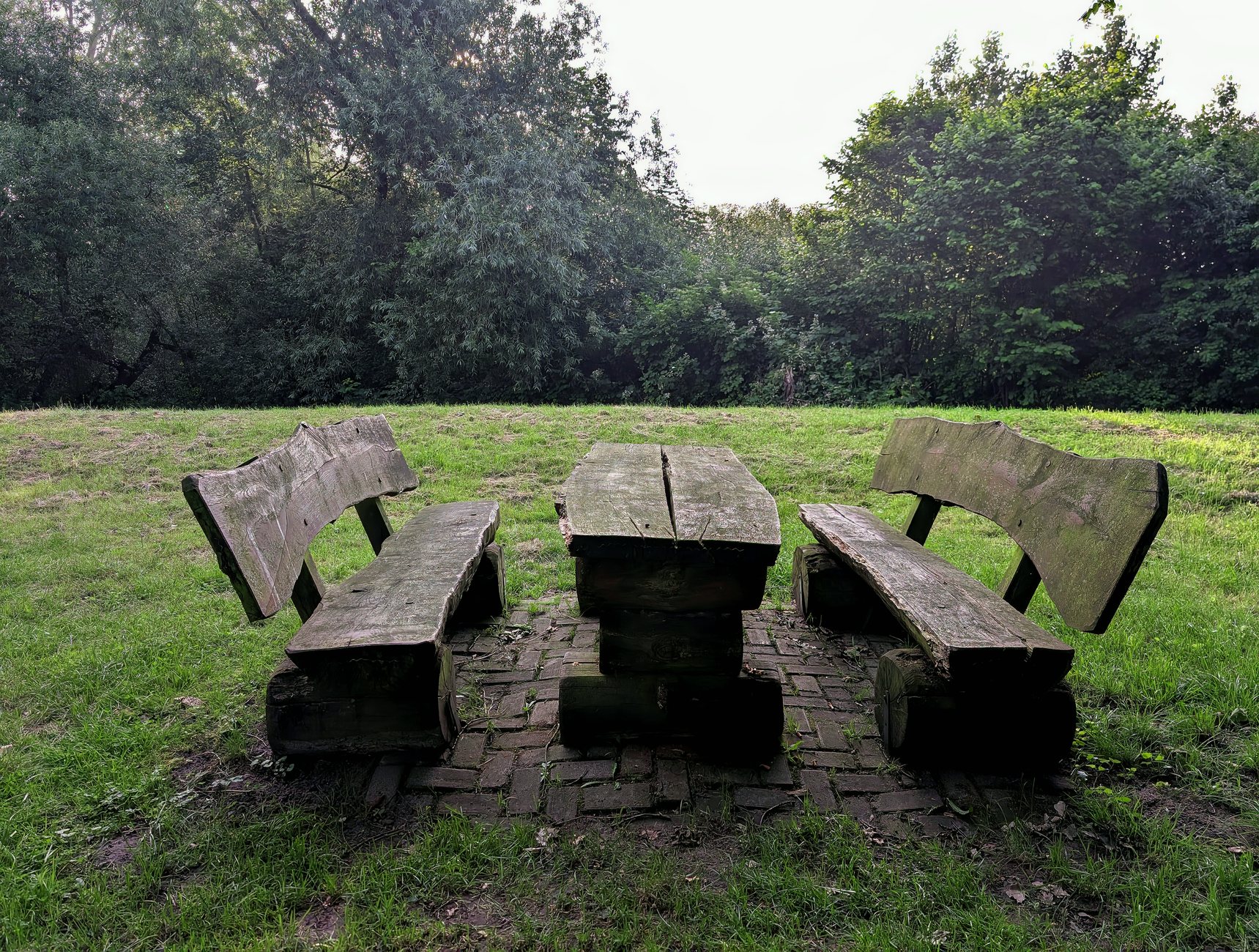 Heilkräuter für Libido und Vitalität aus dem Garten