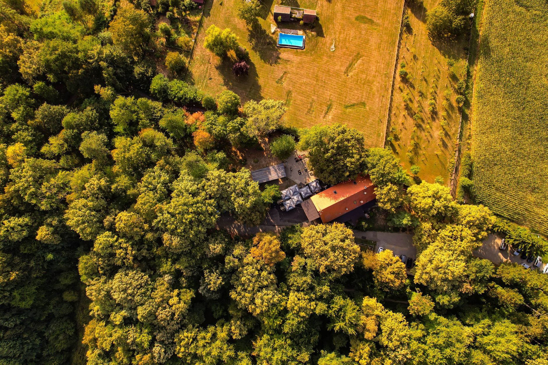 Solaranlage auf dem Bauernhof: Was Landwirte 2026 wissen müssen