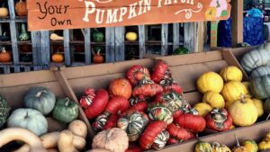 Herbstfest auf dem Land: Crêpes, Kürbis und regionale Genüsse
