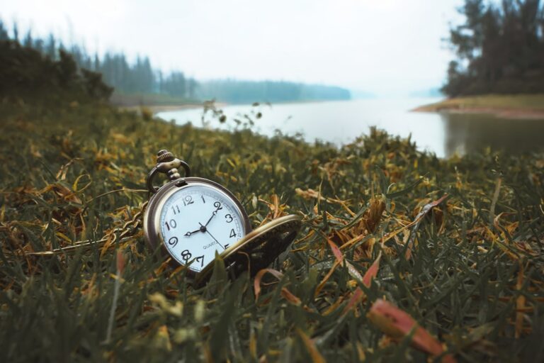 Mehr Zeit für sich und die Natur: So gestalten Sie Ihren Alltag bewusster und einfacher
