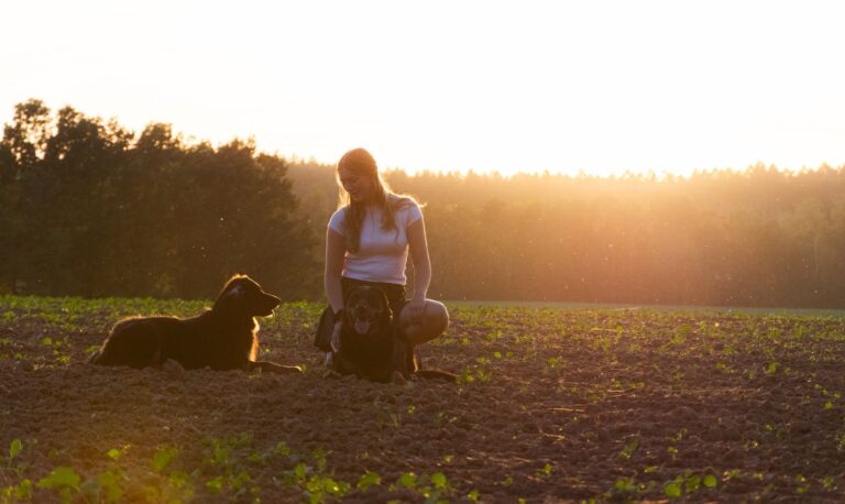 Hunde auf dem Land füttern: Worauf es bei Nassfutter ankommt