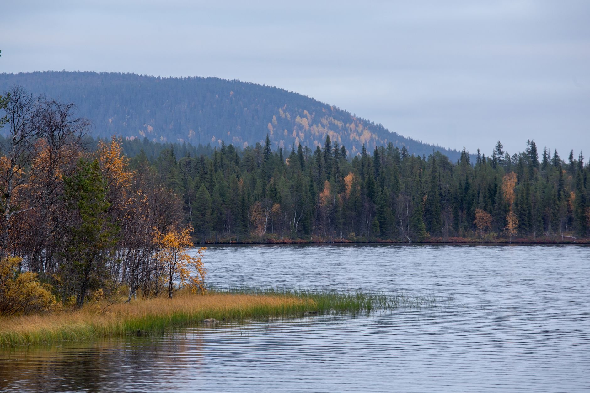 Urlaub in Finnland: Warum der Norden 2026 lockt